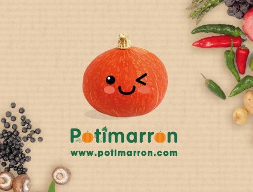 Visuel et Logo de Potimarron.com